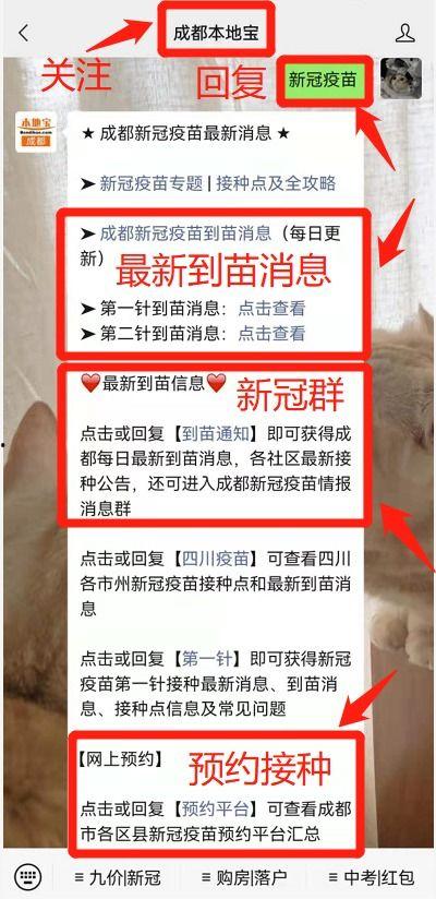 苗原最新爆料蓉城,蓉城风云再起,揭秘蓉城背后惊人真相 第1张 苗原最新爆料蓉城,蓉城风云再起,揭秘蓉城背后惊人真相 第1张